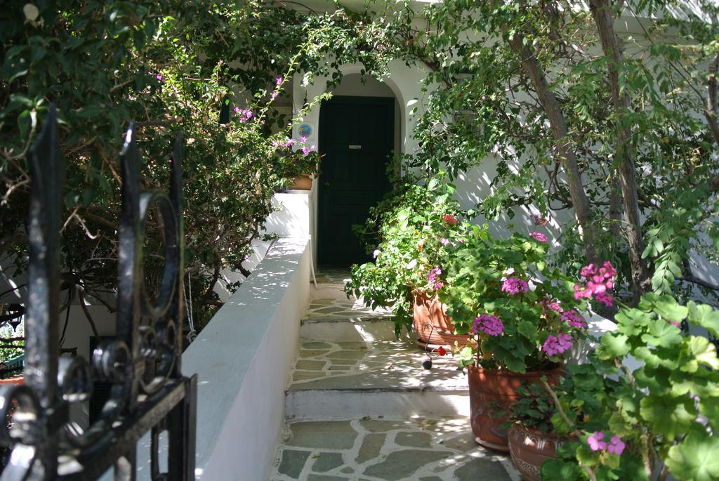 Meltemi Aparthotel Batsi  Exterior foto